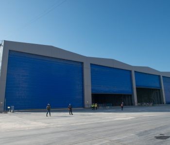 2853Ворота Невские Мастера